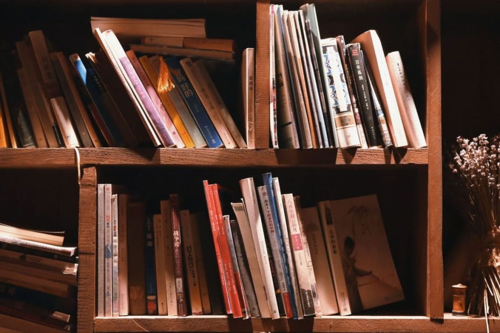 Sådan får du flere bøger på boghylden derhjemme